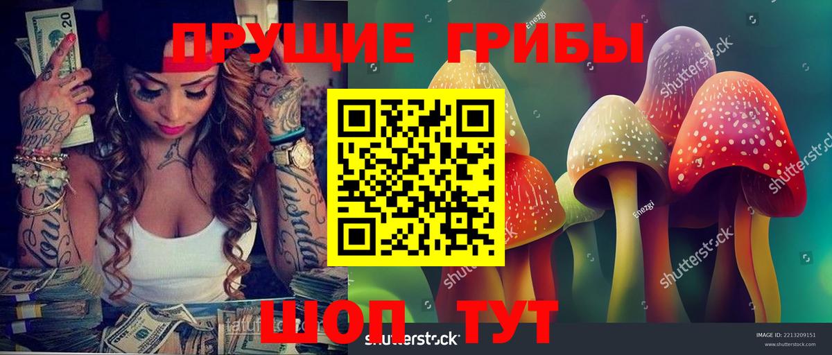 Галлюциногенные грибы Cubensis  Галлюциногенные грибы мухоморы  Вход с VPN  Тимашёвск 