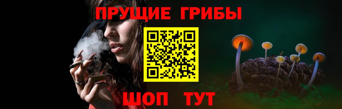 Галлюциногенные грибы GOLDEN TEACHER Тимашёвск